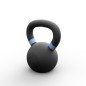 Kettlebell Acero 12kg | HWM®