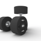 Par Mancuernas Pu 32.5kg | Obelix