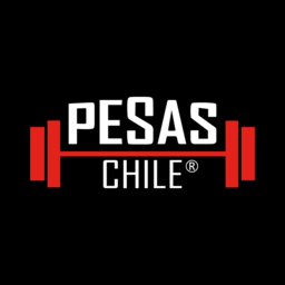 pesaschile.cl